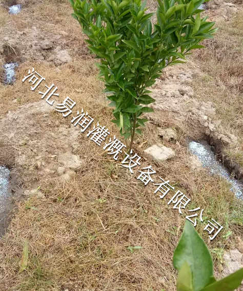 网式过滤器报价 湖南专业果树滴灌 16mmPE管