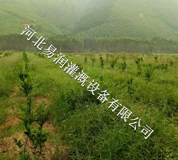 节水灌溉网式过滤器价格 16mmPE管|湖南果树滴灌