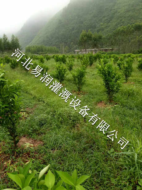 农田果树滴灌 湖南网式过滤器特点 16mmPE管