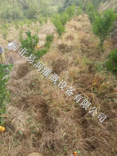 稳流器价格 湖南果树滴灌 16mmPE管