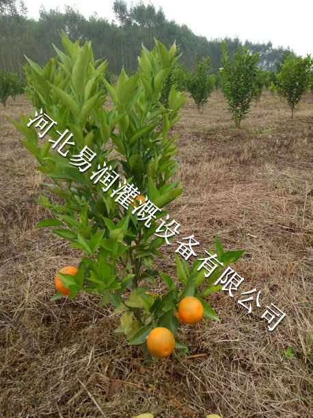 湖南16mmPE管网式过滤器|果树滴灌配件安装