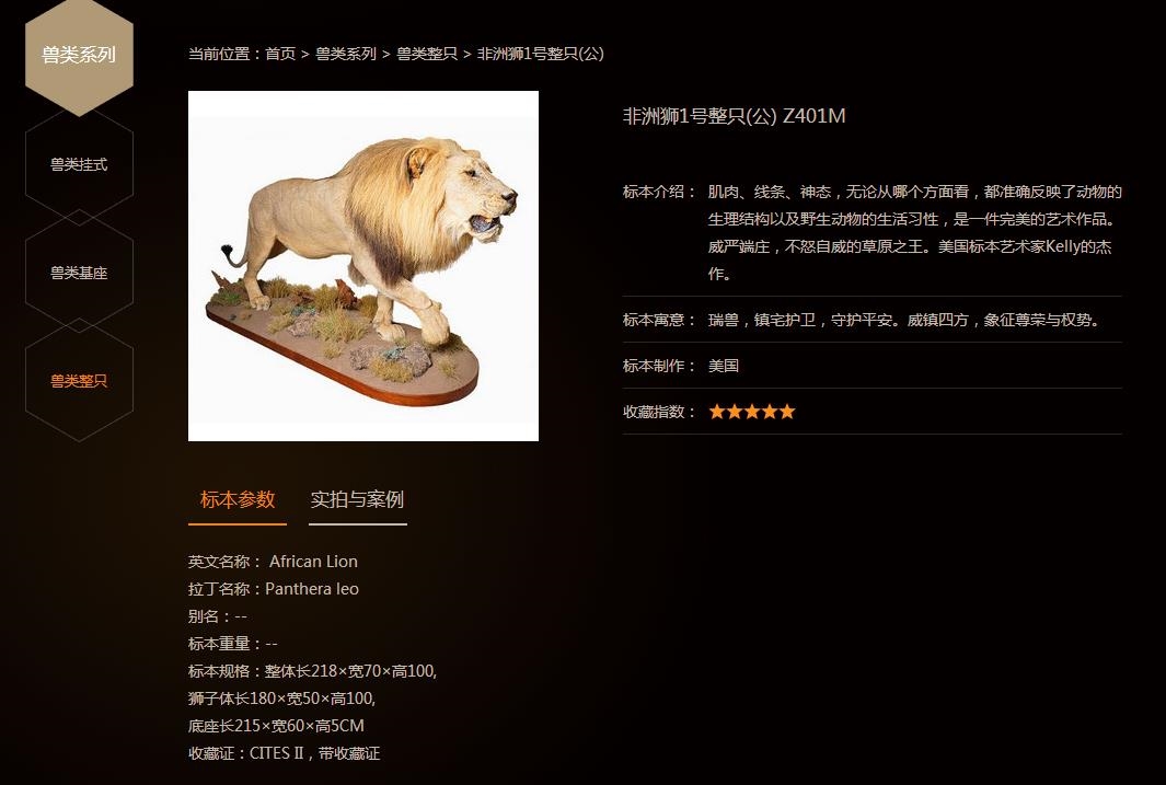 中国打猎网选象派国际狩猎咨询，质量好