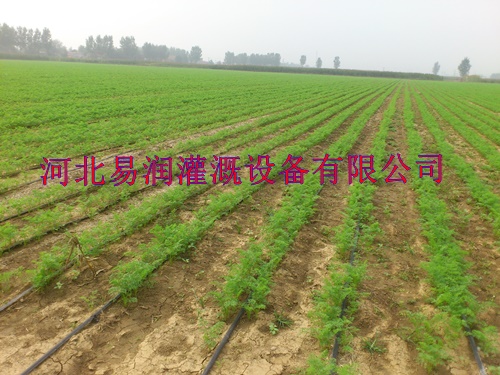 滴灌带批发价钱 河南客户喜欢渗水带