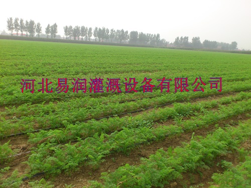 坚固耐磨渗水带 河南品牌滴灌带