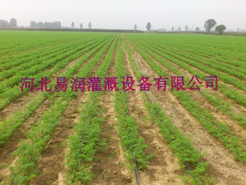 河南全国畅销渗水带 滴灌带应用介绍