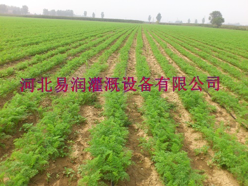 河南滴灌带厂家供应商 渗水带详细参数