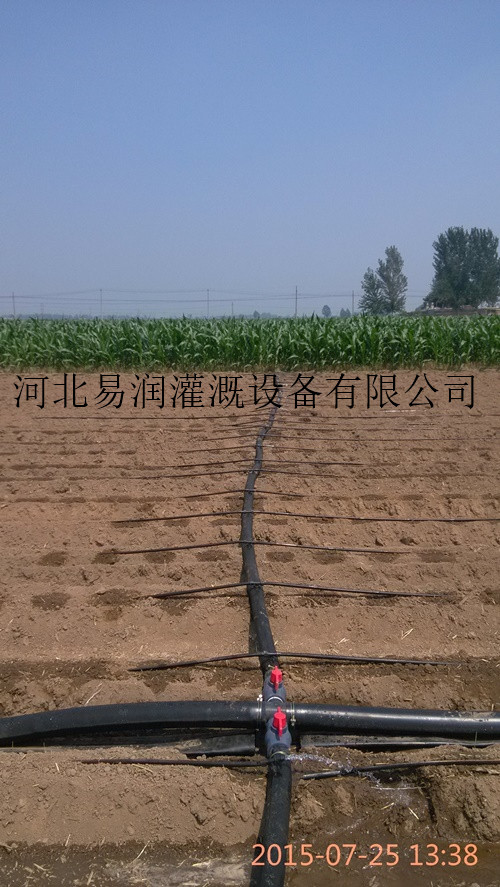 河北滴灌带 PE滴灌带 厂家设计指导安装