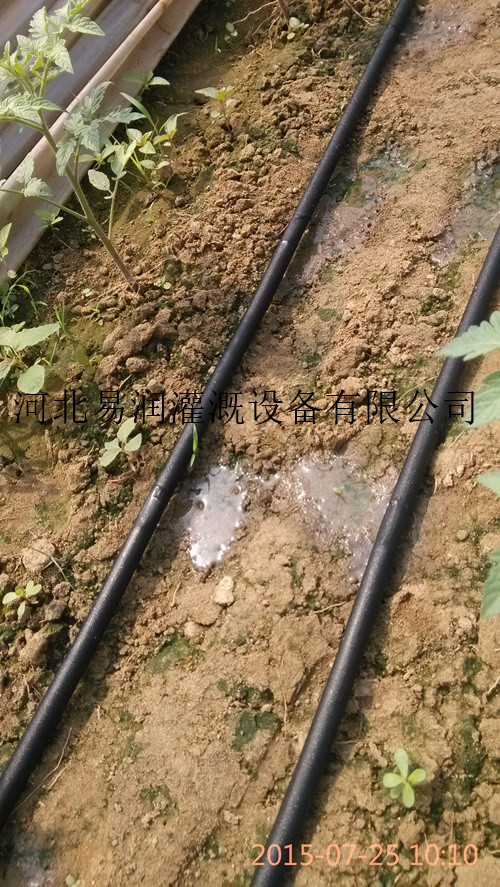 滴灌带生产厂家 河北PE滴灌带 工程报价