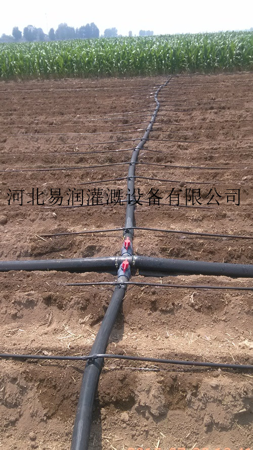 河北农业节水灌溉滴灌带 PE滴灌带 设备