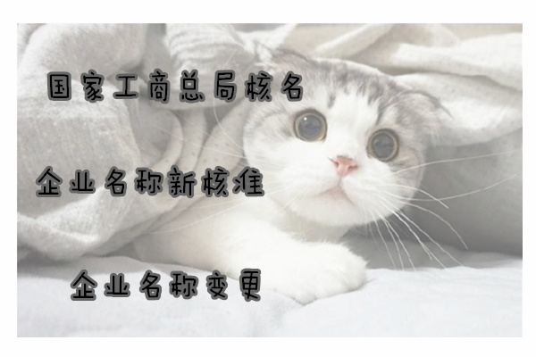 工商核名 预先核准无行政区划的名称