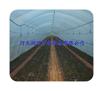 大棚微喷设备 山西岢岚县倒挂微喷头型号齐全