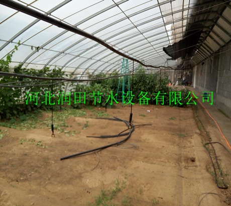 榆林市吴堡县微喷头|供应农业节水灌溉用塑料倒挂微喷头