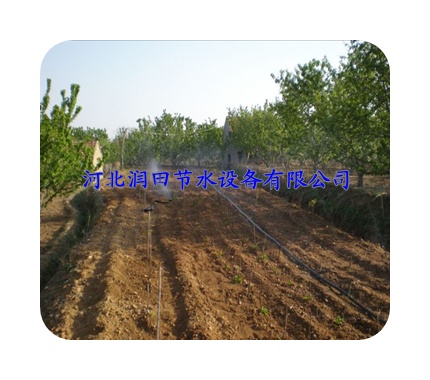 山西偏关县大田微喷带|N80喷灌带价格