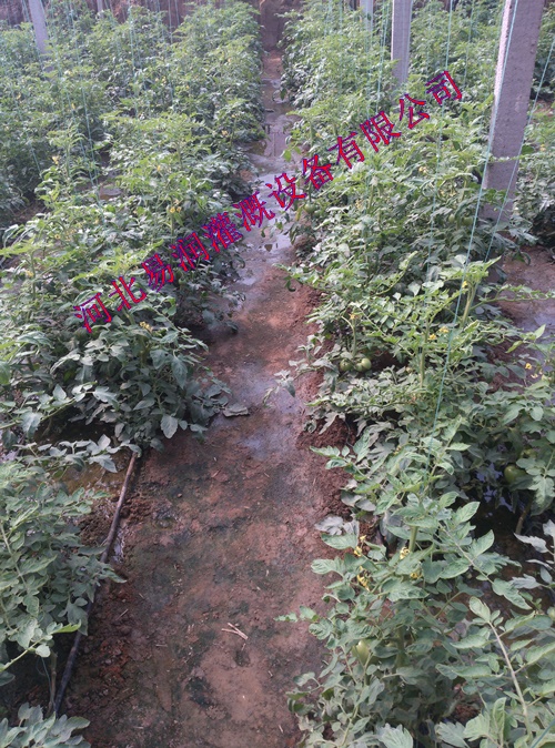 河南蔬菜灌溉塑料管PE管 大棚滴灌管