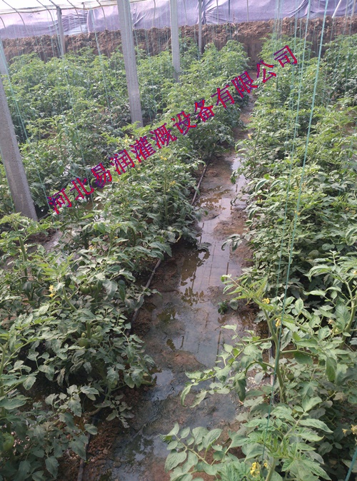 河南蔬菜滴灌管价钱 浇水塑料管|灌溉塑料管PE管