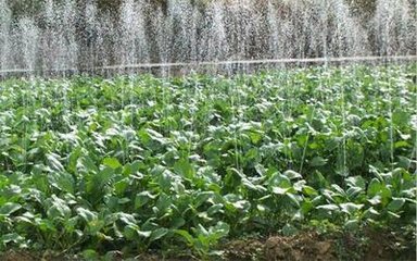 陕西清涧县微喷带选河北润田节水设备/淘宝店