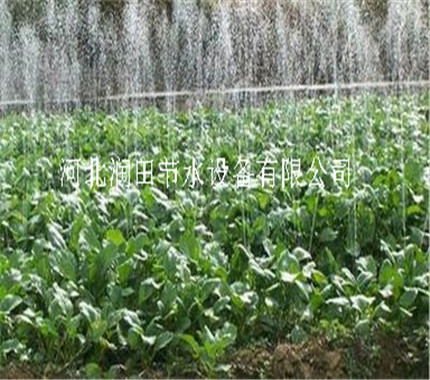 陕西清涧县出水带/苗木基地喷灌产品