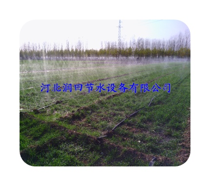 陕西清涧县出水带/苗木基地喷灌产品