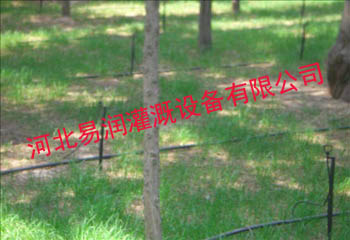 山西花卉小喷头系统布置 买得起微喷头