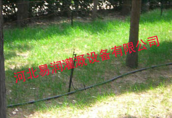 山西花卉低价促销微喷头 用的舒心微喷头
