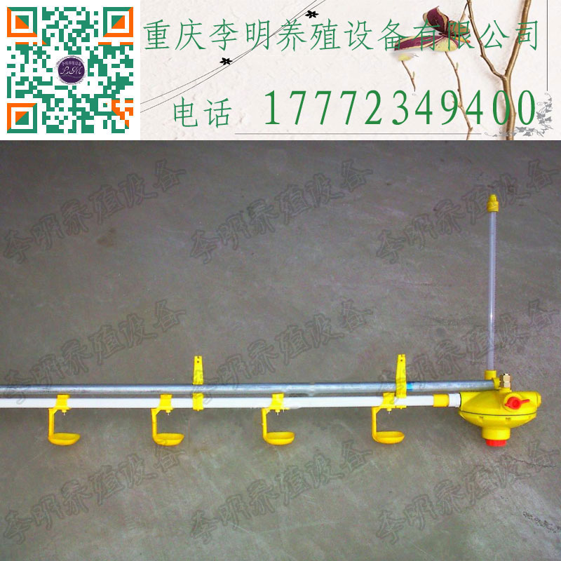 水线 养殖设备 养鸡水线 肉鸡水线 蛋鸡水线 自动饮水系统