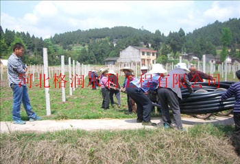 内蒙绿化PE管配件报价&大田滴灌节水灌溉