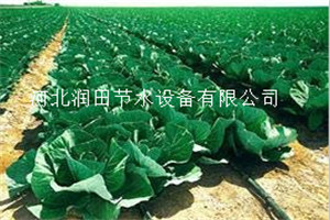 草莓滴灌管 陕西神木市膜下滴灌管更节水