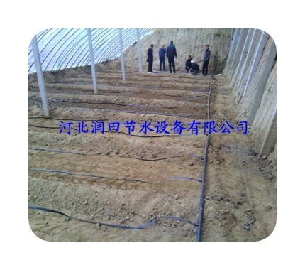 陕西神木市油菜滴灌带 水肥一体化扁水带