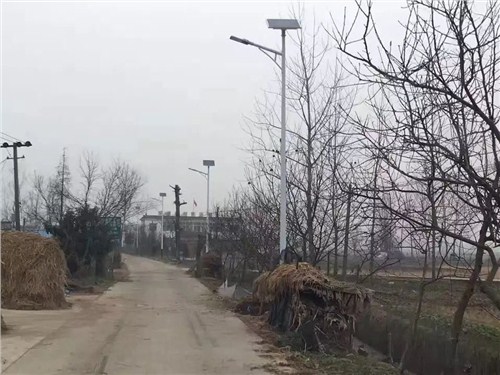 led小区高杆灯,防水挑臂新农村,室外灯家用