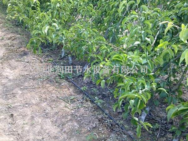 蔬菜滴灌促销 河南沁阳市蔬菜滴水带厂家
