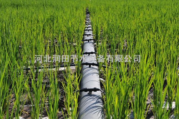 蔬菜滴灌生产*河南沁阳市滴水带生产商家
