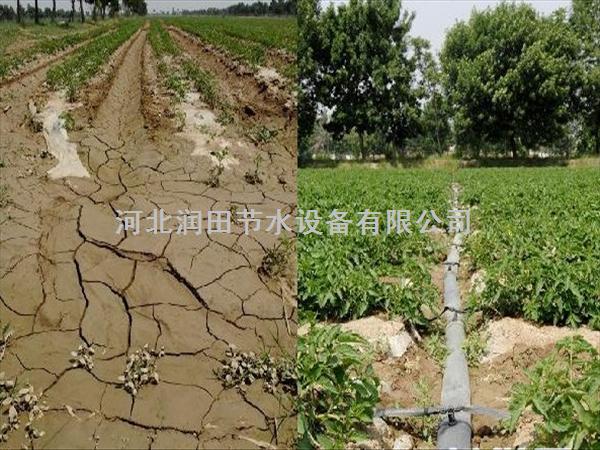 河南沁阳市蔬菜滴水带-蔬菜滴灌质量有保证