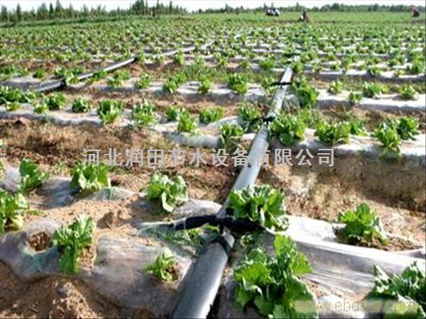河南沁阳市蔬菜滴水带直销*蔬菜滴灌实惠