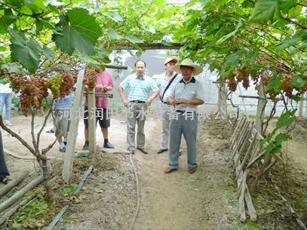 河南沁阳市适用蔬菜滴水带-蔬菜滴灌零件