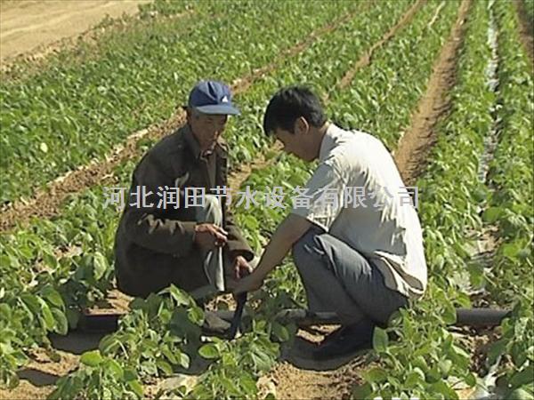 蔬菜滴灌这家好|河南沁阳市蔬菜滴水软带