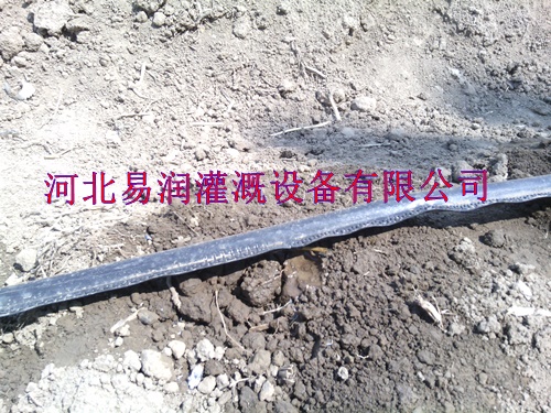 微滴带价格河北西红柿节水滴灌带设备