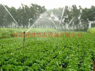 大田喷灌这家好-河南博爱县喷灌喷头专售