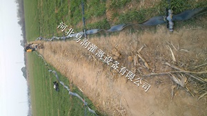河北土豆大田微喷 微喷带施工 水龙带工程费用低廉
