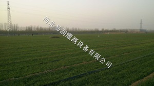 河北耐用土豆微喷带、水龙带提高资源利用率