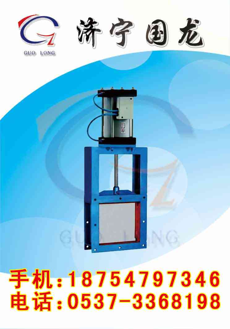 DPZ型电液动平板闸门 国龙平板闸门