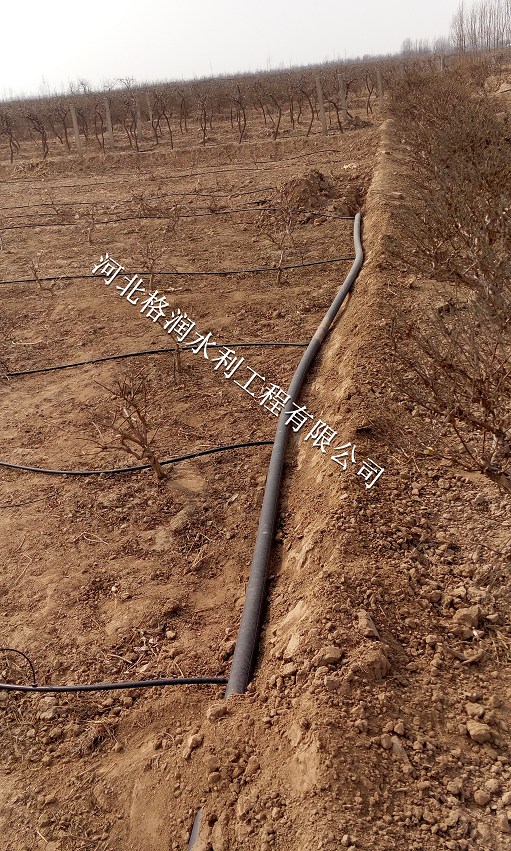果树管材节水灌溉#四川稳流器价格