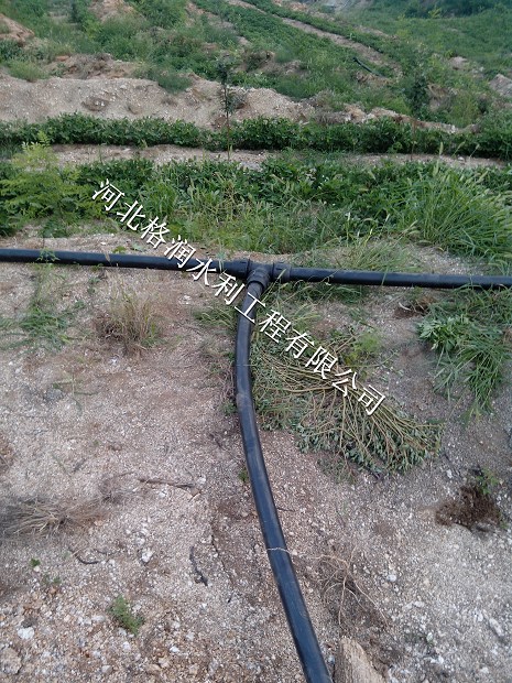 低价售网式过滤器#四川农业果树滴水管设备