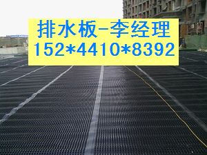 唐山建筑车库滤水板厂家=2公分厚排水板价格（包邮）