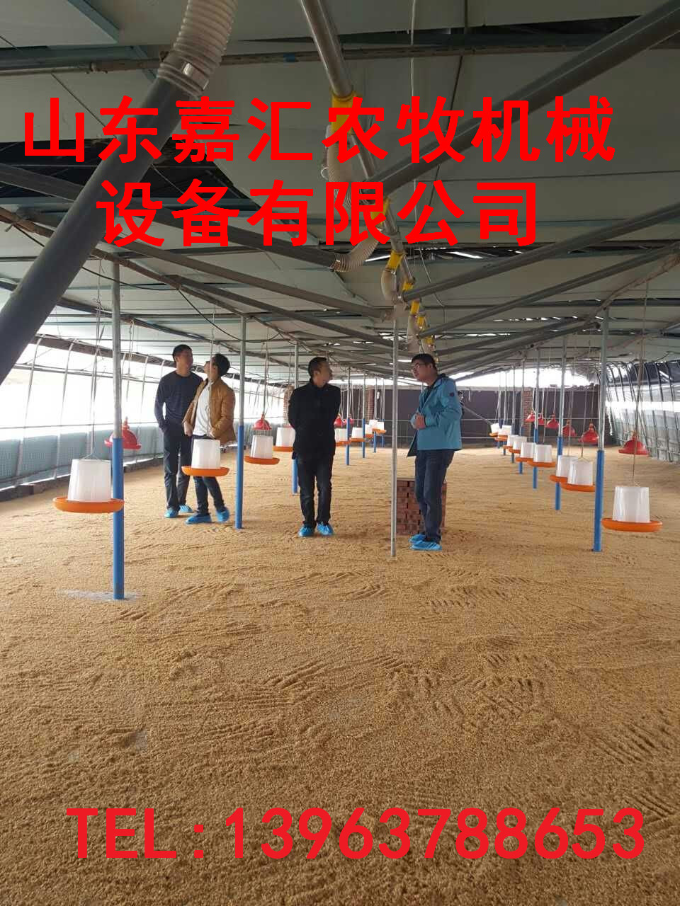 嘉汇机械鸡鸭料线