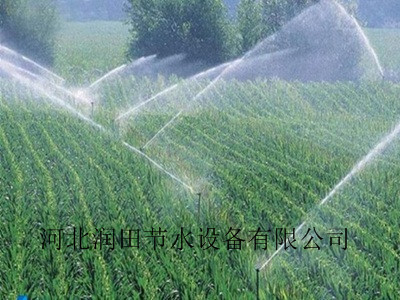 四川泸州古蔺县大田喷灌 zy-2喷头 大喷头生产厂家
