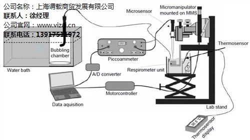 氢气测量仪厂家*氢气测量仪哪家好*氢气测量仪质量好*谓载供