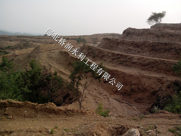 优质果树滴灌滴头 西安苹果果树滴灌