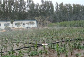 四川泸州叙永县喷水软带 微喷带规格齐全