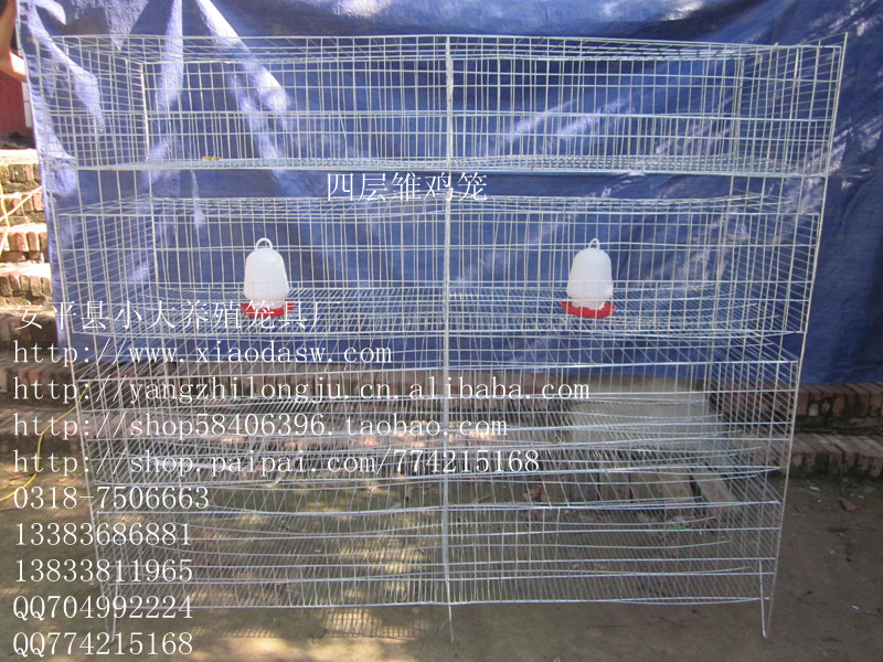 鸡鸽兔笼 养殖设备 狐狸笼 鹌鹑笼 鸡笼鸟笼 鸽子笼 兔子笼