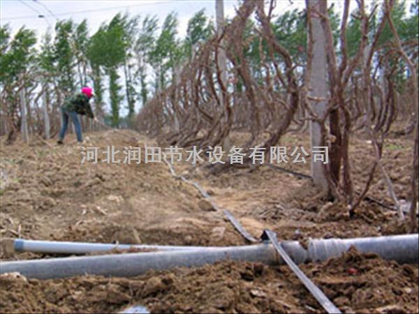 黑色滴水带 河南周口项城市葡萄滴灌带 滴灌厂家